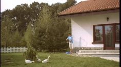 poster-15733-cris-tim-the-water-hose-236x132