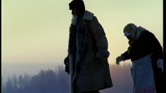 poster-15759-ryabushka-chicken-eggs-asleep-236x132