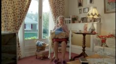 poster-15772-friskies-light-grand-mother-236x132