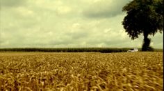 poster-15778-lu-lu-time-out-236x132