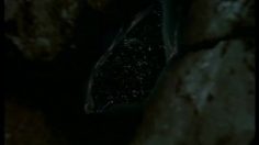 poster-1578-la-mondiale-effets-speciaux-236x132