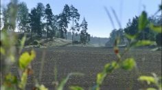 poster-15783-olw-l-attente-236x132