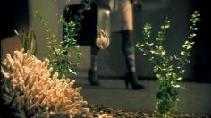 poster-15814-hartwall-novelle-sparkling-water-fish-236x132