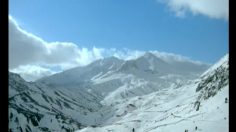 poster-15823-deren-tea-first-harvest-236x132