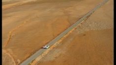 poster-1585-elf-optane-essence-les-lapins-236x132