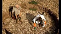 poster-15851-nokia-3530-archeologues-236x132