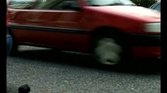 poster-15877-ford-s-max-birds-can-t-fly-236x132