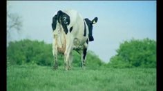 poster-15883-virgin-virgin-atlantic-boo-236x132