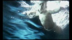 poster-15889-national-geographic-chaine-de-television-hd-baby-236x132