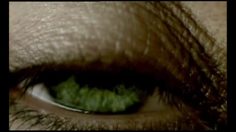 poster-15892-national-geographic-chaine-de-television-hd-eye-236x132