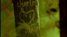 poster-1590-pages-jaunes-arbre-236x132