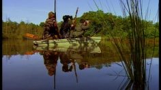 poster-1592-woodpecker-cider-ducks-236x132