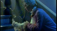 poster-1595-pages-jaunes-cendrillon-236x132