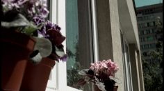 poster-16003-anti-exclusion-the-volunteer-center-carpet-236x132