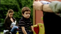 poster-16009-protection-environnement-inthedustbin-be-litter-236x132