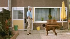 poster-16011-royal-dutch-army-dog-236x132