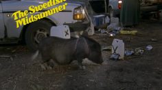 poster-16033-ikea-midsummer-party-236x132