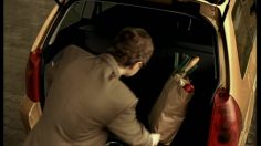 poster-16038-leroy-merlin-a-world-without-houses-236x132