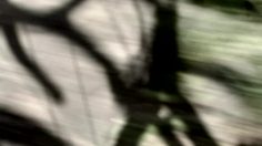 poster-16066-skoda-octavia-combi-torture-test-236x132