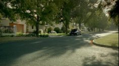 poster-16071-peugeot-307-hdi-pigeon-236x132