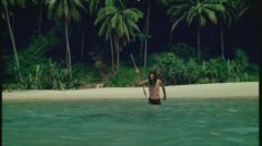 poster-16078-toyota-corolla-privilege-castaway-i-236x132