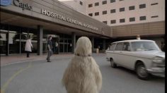 poster-16082-alfa-romeo-147-hospital-236x132