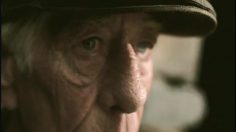 poster-16087-volkswagen-jetta-ripped-off-236x132