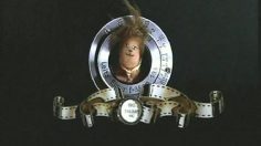 poster-16102-cinema-magazine-action-236x132