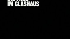 poster-16107-tv-spielfilm-the-woman-in-the-glasshouse-236x132