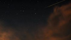 poster-16114-78th-annual-academy-awards-ceremonie-des-oscars-oscar-city-236x132