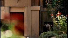 poster-16119-sky-basket-236x132