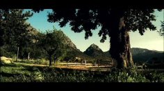 poster-16135-veikkaus-v5-rodeo-236x132