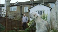 poster-16139-camelot-lottery-migrate-236x132