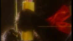 poster-1614-ameto-fil-a-coudre-le-chaton-236x132