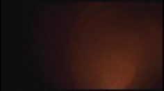 poster-16141-europride-the-sperm-236x132