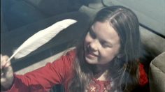 poster-16192-securite-routiere-seatbelt-236x132