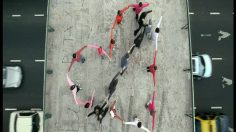 poster-16198-talk-talk-shapes-236x132