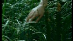 poster-1621-yoplait-calin-le-berceau-236x132