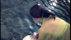 poster-16211-axe-lynx-stream-236x132