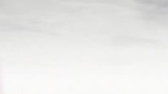 poster-16288-intercasino-dice-236x132