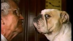 poster-1630-little-caesars-dog-psychologist-236x132