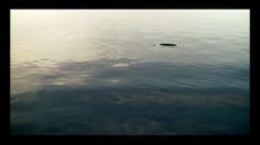 poster-16325-orange-open-236x132