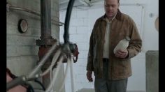 poster-16336-skittles-sour-milkman-236x132