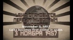 poster-16361-microsoft-zune-laika-236x132