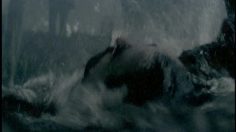 poster-16405-cipla-life-lost-236x132