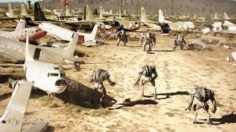 poster-16412-snickers-foot-americain-236x132