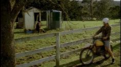 poster-16413-fresh-metaphors-236x132