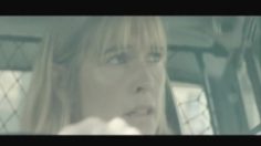 poster-16441-mcdonald-s-visit-236x132