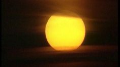 poster-16442-protection-environnement-economie-energie-not-easy-being-green-236x132