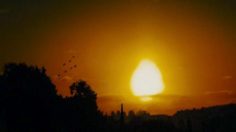 poster-16461-collective-du-lait-white-lite-24-hour-milk-236x132